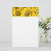 ヒマワリの黄色のフィールド写真 便箋 (スタンド正面)