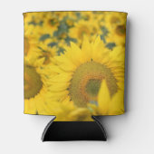 ヒマワリの黄色のフィールド写真 缶クーラー (正面)