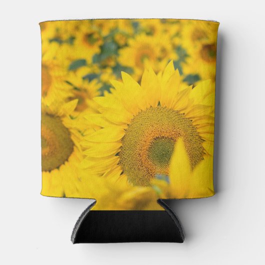 ヒマワリの黄色のフィールド写真 缶クーラー (正面)