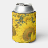 ヒマワリの黄色のフィールド写真 缶クーラー (缶裏面)