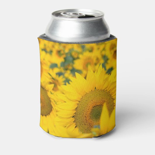 ヒマワリの黄色のフィールド写真 缶クーラー (缶裏面)