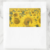 ヒマワリの黄色のフィールド写真 長方形シール (バッグ)