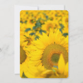 ヒマワリの黄色結婚い野 招待状 (裏面)