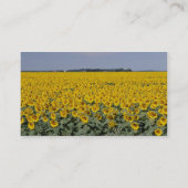 ヒマワリの黄金色の野原、マニトバの花 名刺 (裏面)