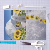 ヒマワリアポーラベアティッシュペーパー 薄葉紙 (クラフト)