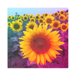 ヒマワリカラフルフォトカントリー メタルプリント