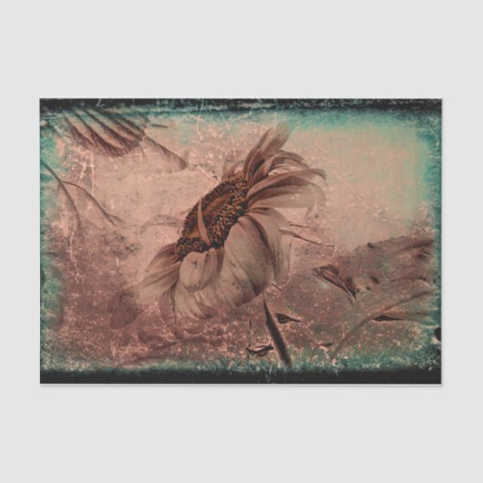 ヒマワリセピアグリーンオールドヴィンテージアンティーク組織 薄葉紙 (正面)