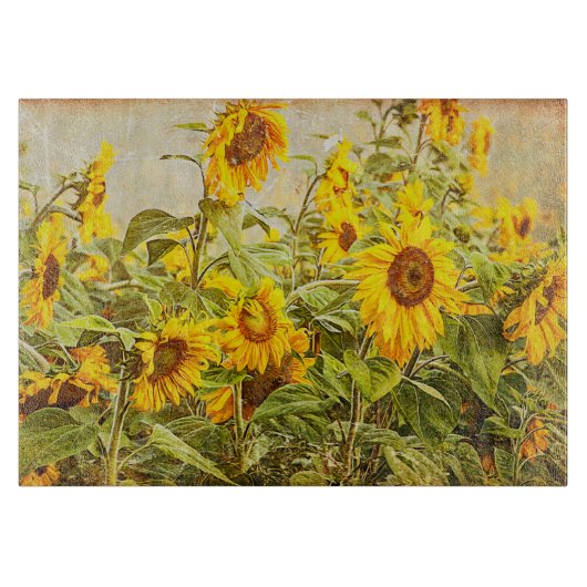 ヒマワリフィールドヴィンテージイエローカントリ素朴ー カッティングボード (正面)