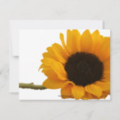 ヒマワリフォトフラットノートカード 招待状 (裏面)