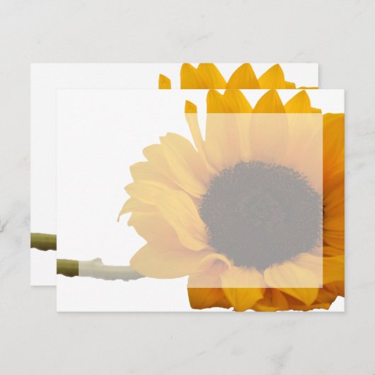 ヒマワリフォトフラットノートカード 招待状 (正面/裏面)