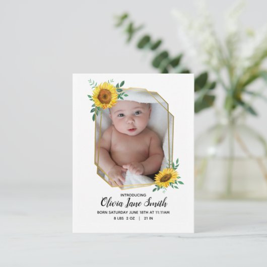 ヒマワリベビー誕生の発表 案内ポストカード (スタンド正面)