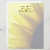 ヒマワリレターヘッド レターヘッド (正面/裏面)