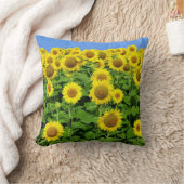 ヒマワリ分野 クッション (ブランケット)
