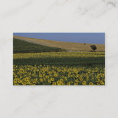 ヒマワリ分野、タスカニー、イタリア 名刺 (裏面)