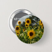 ヒマワリ分野 缶バッジ (正面&裏面)