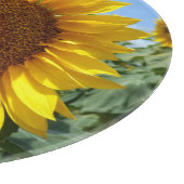 ヒマワリ化粧用ガラスの切り板 カッティングボード (角)