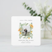 ヒマワリ春サイト (スタンド正面)