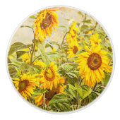 ヒマワリ畑ヴィンテージ黄緑素朴色 セラミックノブ (正面)