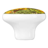 ヒマワリ畑ヴィンテージ黄緑素朴色 セラミックノブ (側面)