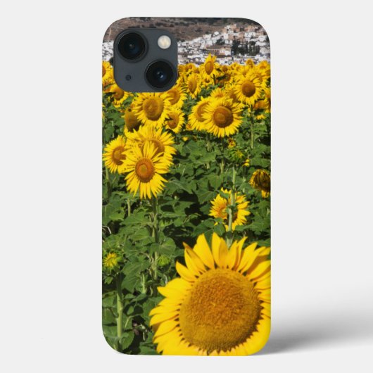 ヒマワリ畑、ボルノスの白い丘の町 Case-Mate iPhoneケース (裏面)