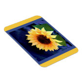ヒマワリ磁石イエローとブルー マグネット (右側)