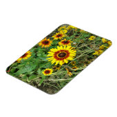 ヒマワリ磁石 マグネット (左側)