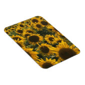 ヒマワリ磁石 マグネット (右側)