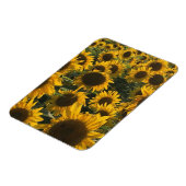 ヒマワリ磁石 マグネット (左側)