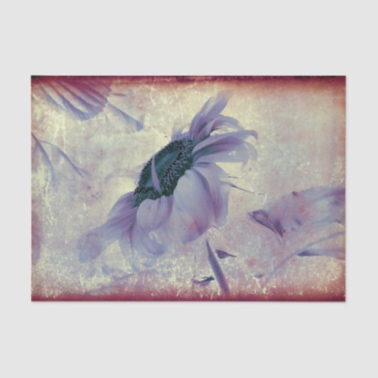 ヒマワリ紫セピアヴィンテージアンティーク組織 薄葉紙 (正面)