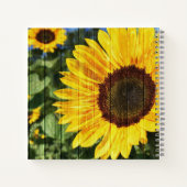 ヒマワリ絵を描スフェンス ノートブック (裏面)