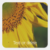 ヒマワリ花びらパーソナライズされた花 スクエアシール (正面)