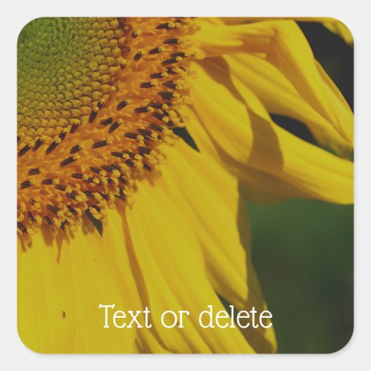 ヒマワリ花びらパーソナライズされた花 スクエアシール (正面)