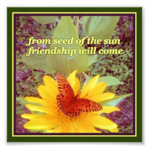 ヒマワリ蝶の友情の種