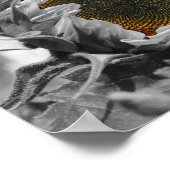 ヒマワリ部分花 ポスター (角)