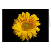 ヒマワリ (正面横)