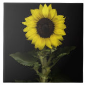 ヒマワリ11 タイル (正面)