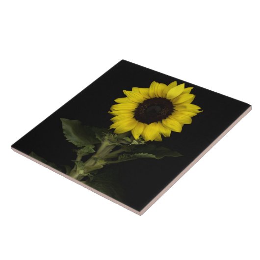 ヒマワリ11 タイル (側面)