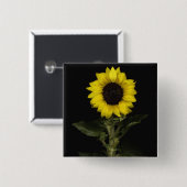 ヒマワリ11 缶バッジ (正面&裏面)