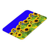 ヒマワリ – ウクライナ国旗Peace Freedom Ukraine マグネット (左側)