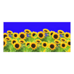 ヒマワリ – ウクライナ国旗Peace Freedom Ukraine ラックカード