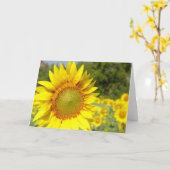 ヒマワリ カード (黄色い花)