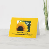 ヒマワリ カード (裏面)