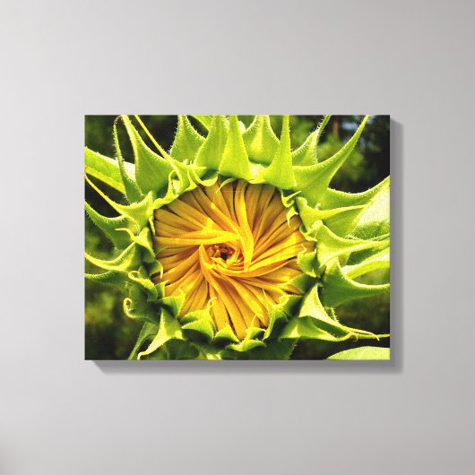ヒマワリ キャンバスプリント (正面)