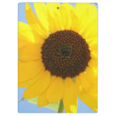 ヒマワリ クリップボード (裏面)