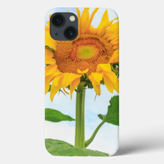 ヒマワリ,コミュニティガーデン,モーゼス湖, WA,米国 Case-Mate iPhoneケース (裏面)