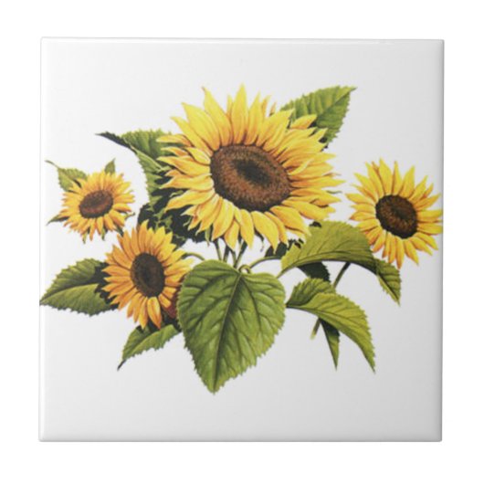 ヒマワリ タイル (正面)