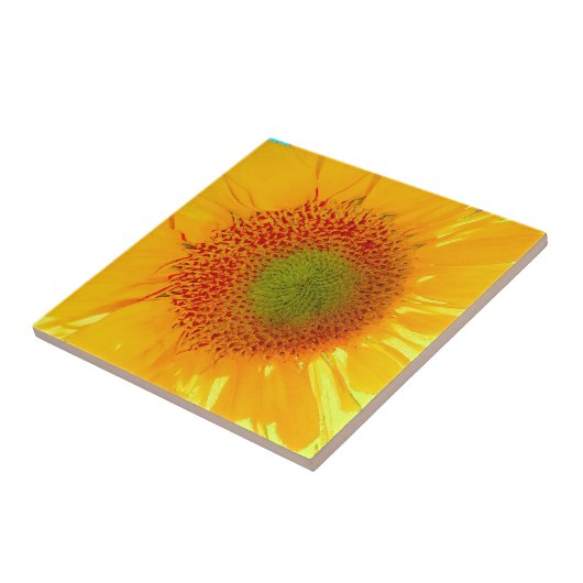 ヒマワリ タイル (側面)