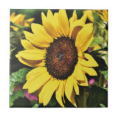 ヒマワリ タイル (正面)