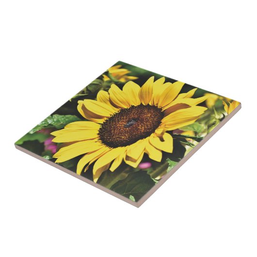 ヒマワリ タイル (側面)