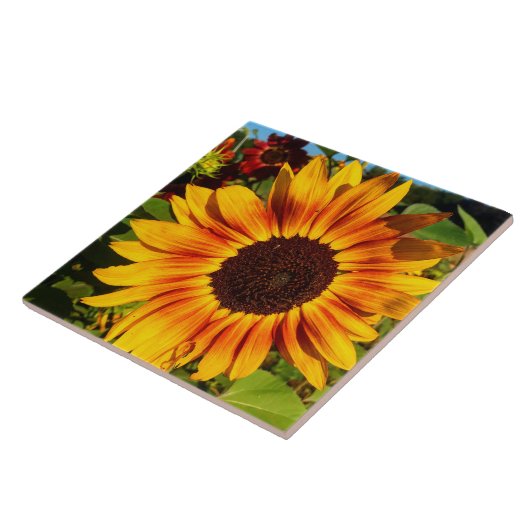 ヒマワリ タイル (側面)